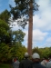 glinna05