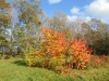 ognisko21-10-17_18
