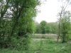 image11