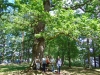skorzecin_052