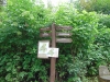 skorzecin_081