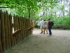 skorzecin_093